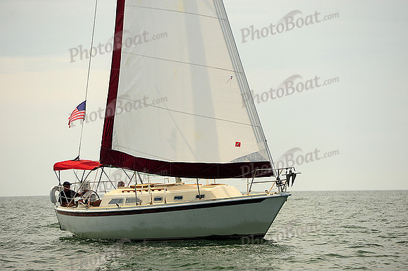2014 Cape Charles Cup B 255