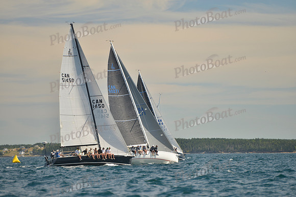 2016 Chester Race Week B_0059