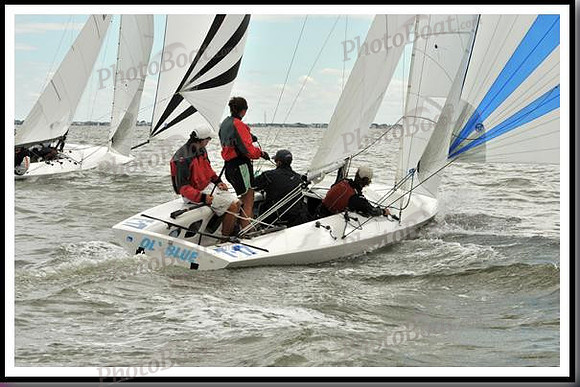 proof_2010_EScows_A 719