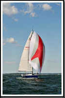 proof_2010_Vineyard_Race_1224