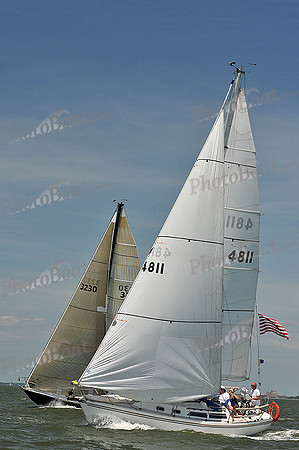 2013 Southern Bay Race Week D 739