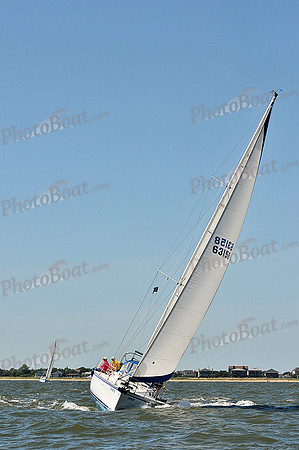 2014 Southern Bay Race Week D 298