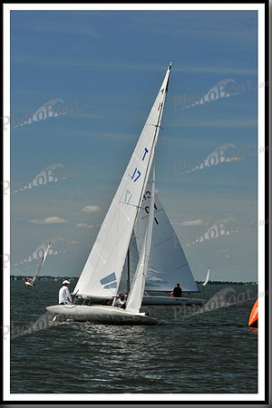 proof_2010_EScows_D 832