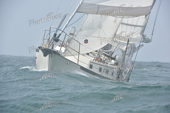 2022 Newport Bermuda_1964