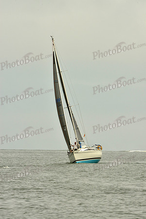 2016 Southern Bay Race Week E_0388