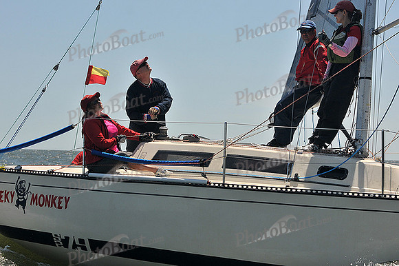 2014 Southern Bay Race Week C 1213