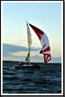 proof_2010_Vineyard_Race_2336