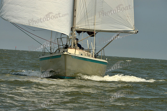 2016 Southern Bay Race Week B_0211
