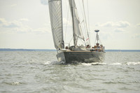 2016 Vineyard Race A_1542