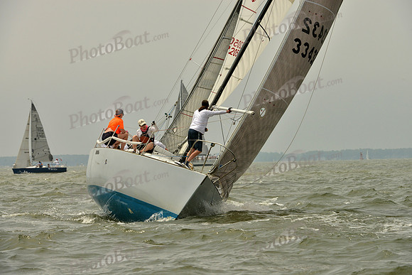 2016 Southern Bay Race Week A_0763