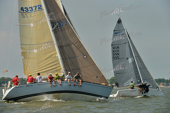 2016 Southern Bay Race Week B_0308