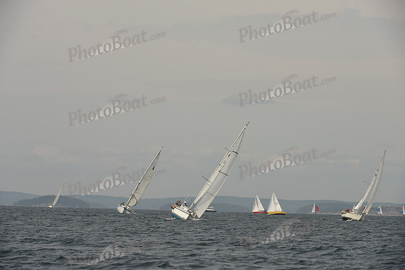2016 Chester Race Week C_0608