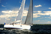 2014 Vineyard Race A 833