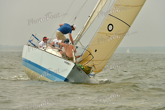 2016 Southern Bay Race Week A_0468