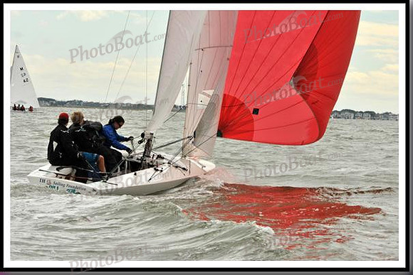 proof_2010_EScows_A 206