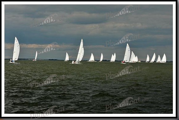proof_2010_EScows_C 043