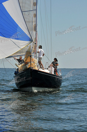 2010 Leukemia Cup B 330