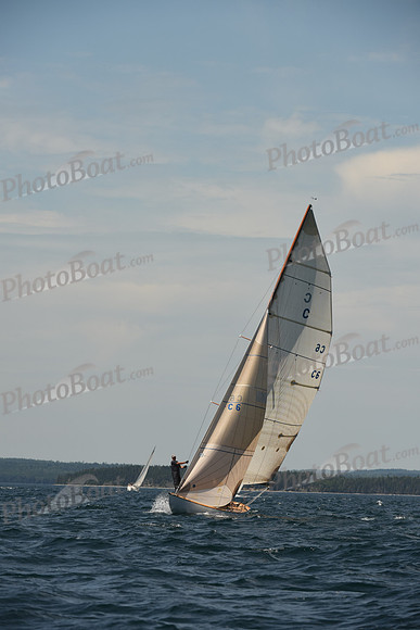2016 Chester Race Week A_0847