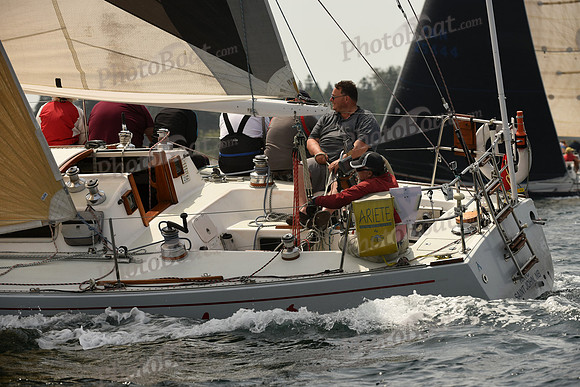 2016 Chester Race Week C 395