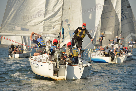 2015 NY Architects Regatta A 781