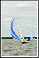 proof_2010_EScows_A 700