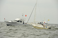 2015 Vineyard Race A 083