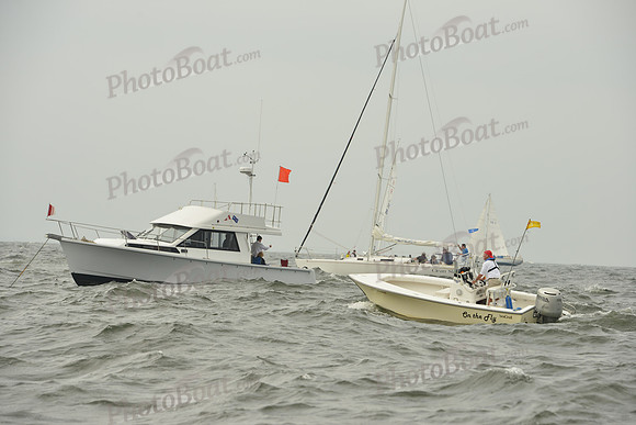 2015 Vineyard Race A 083