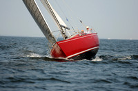 2011 Vineyard Race B 343