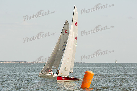 DBP_8184