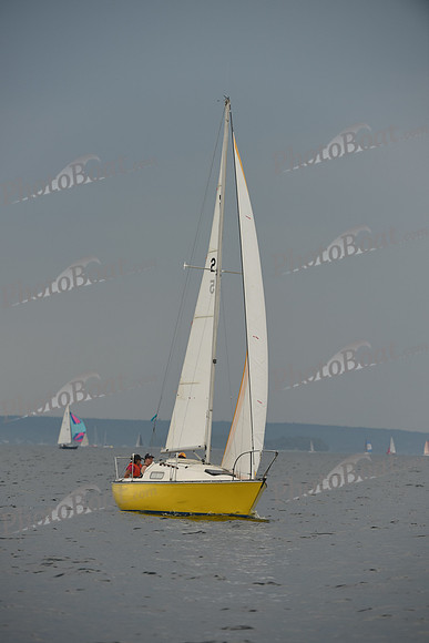 2016 Chester Race Week D_0678