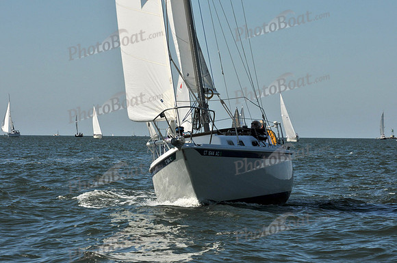 2010 Leukemia Cup 429