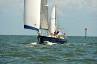 2015 Southern Bay Race Week C 1436