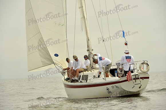 2016 Southern Bay Race Week D_0058