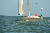 2015 Southern Bay Race Week C 1237