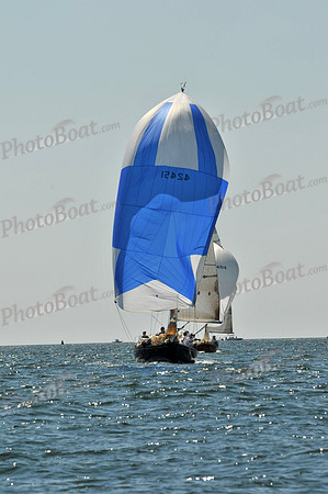 2010 Leukemia Cup B 719
