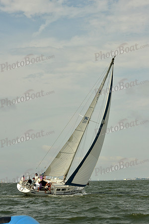 2016 Southern Bay Race Week G_0204