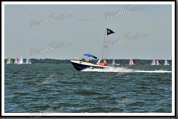 proof_2010_EScows_E 004