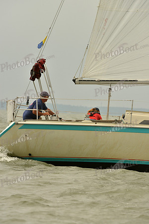2016 Southern Bay Race Week A_1149