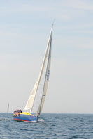 2010_Newport_Bermuda 1597