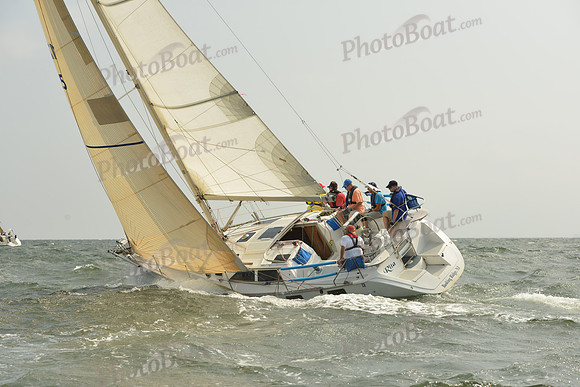 2015 Vineyard Race A 355