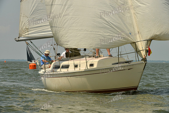 2016 Southern Bay Race Week F_0377