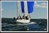 proof_2010_Vineyard_Race_0251