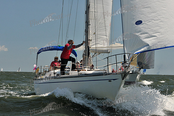 2014 Southern Bay Race Week C 1164