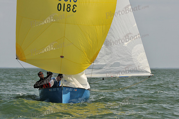 2012 Thistle Midwinters B 1418