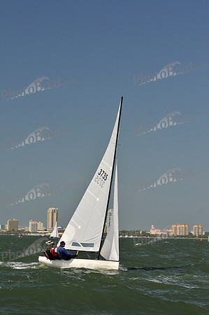 2012 Thistle Midwinters B 978