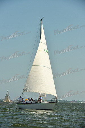 2015 Southern Bay Race Week A 1465