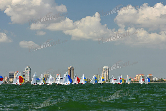 2012 Thistle Midwinters C 649