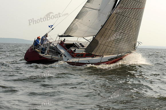 2011 Vineyard Race B 356