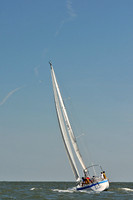 2014 Southern Bay Race Week D 372