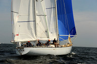 2013 Vineyard Race A 1000